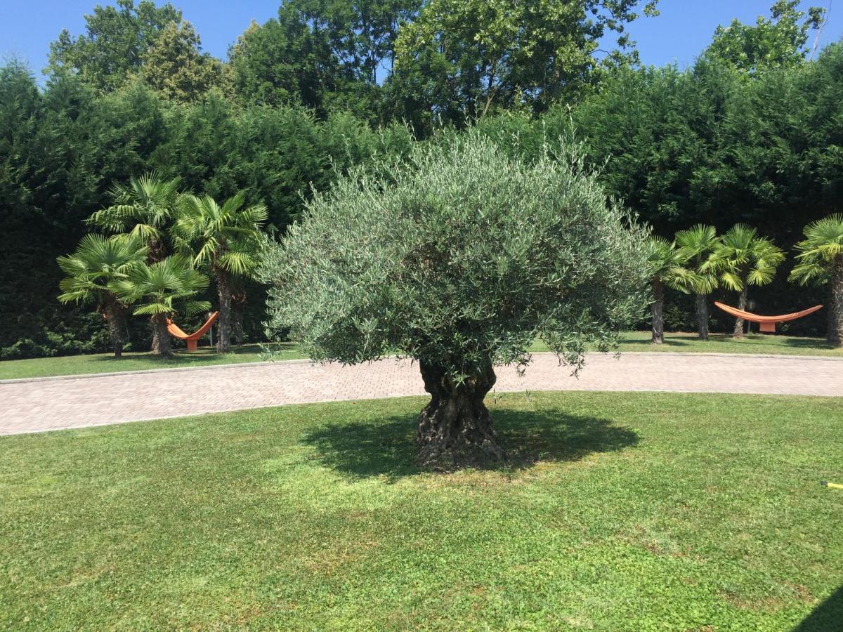 Villa Althea Ronago Екстериор снимка